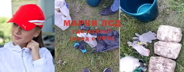 индика Аркадак