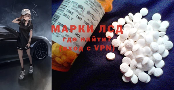 индика Аркадак