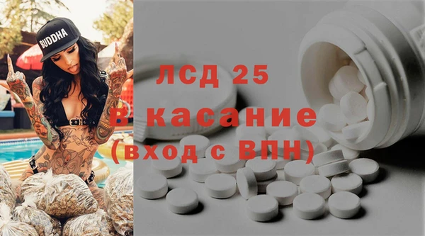 индика Аркадак