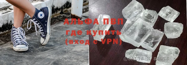 индика Аркадак