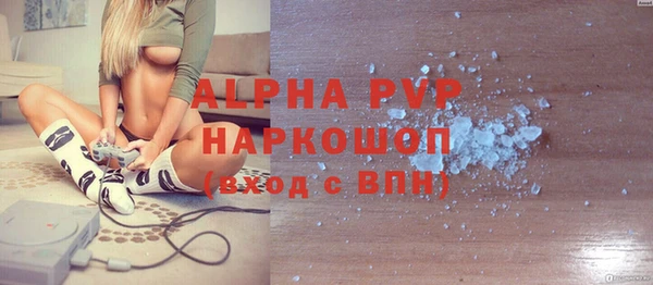 стафф Арсеньев