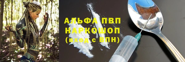 стафф Арсеньев